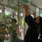 Tanabata Fest at LJI